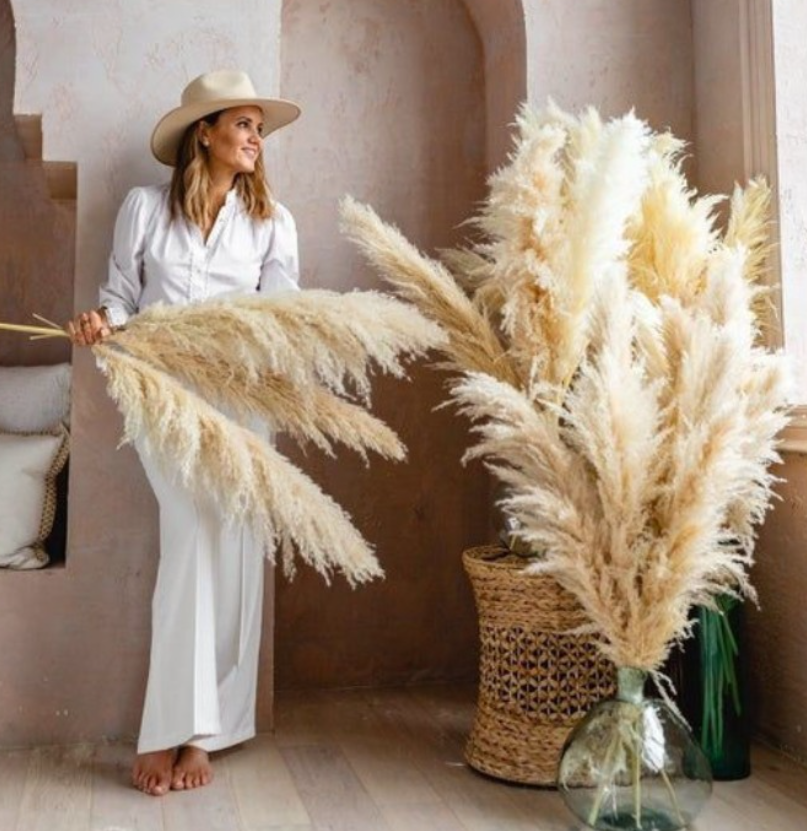 dried pampas