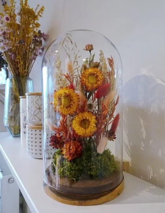 Terrariums Using Preserved Moss