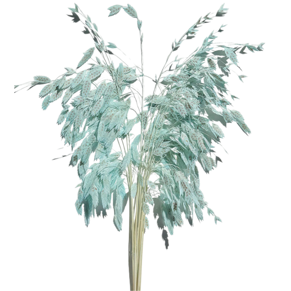 tiffany blue grass