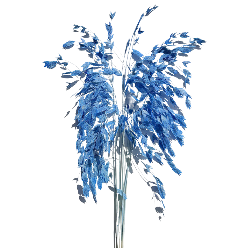 preserved grass blue