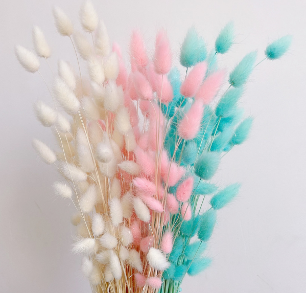 Preserved Bunny Tails