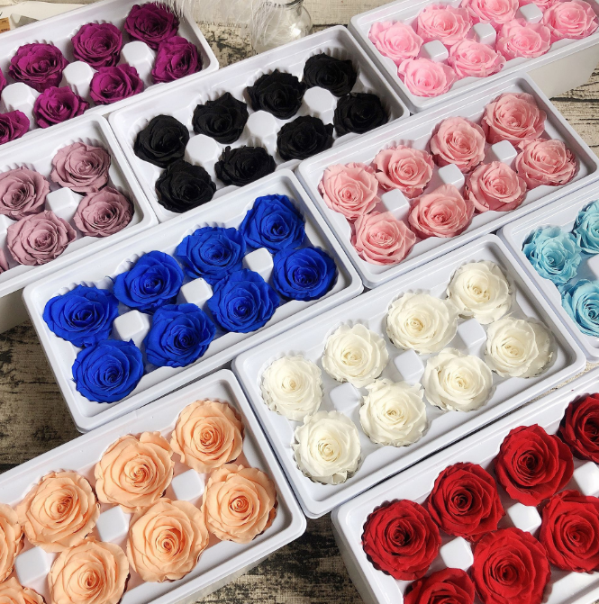 Preserved Roses