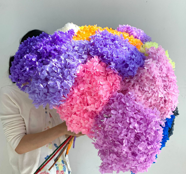 Preserved hydrangea