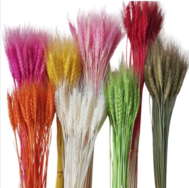 Preserved Wheat