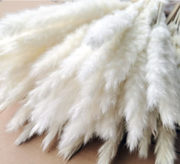 Preserved Fluffy Sticks