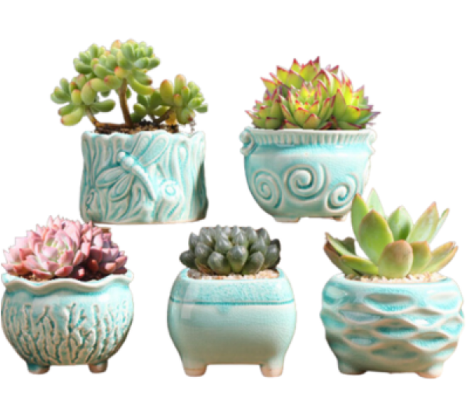decorative pots