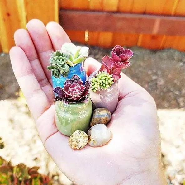 miniature planters