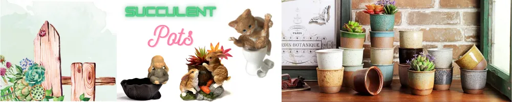 Plant Pots Wholesale