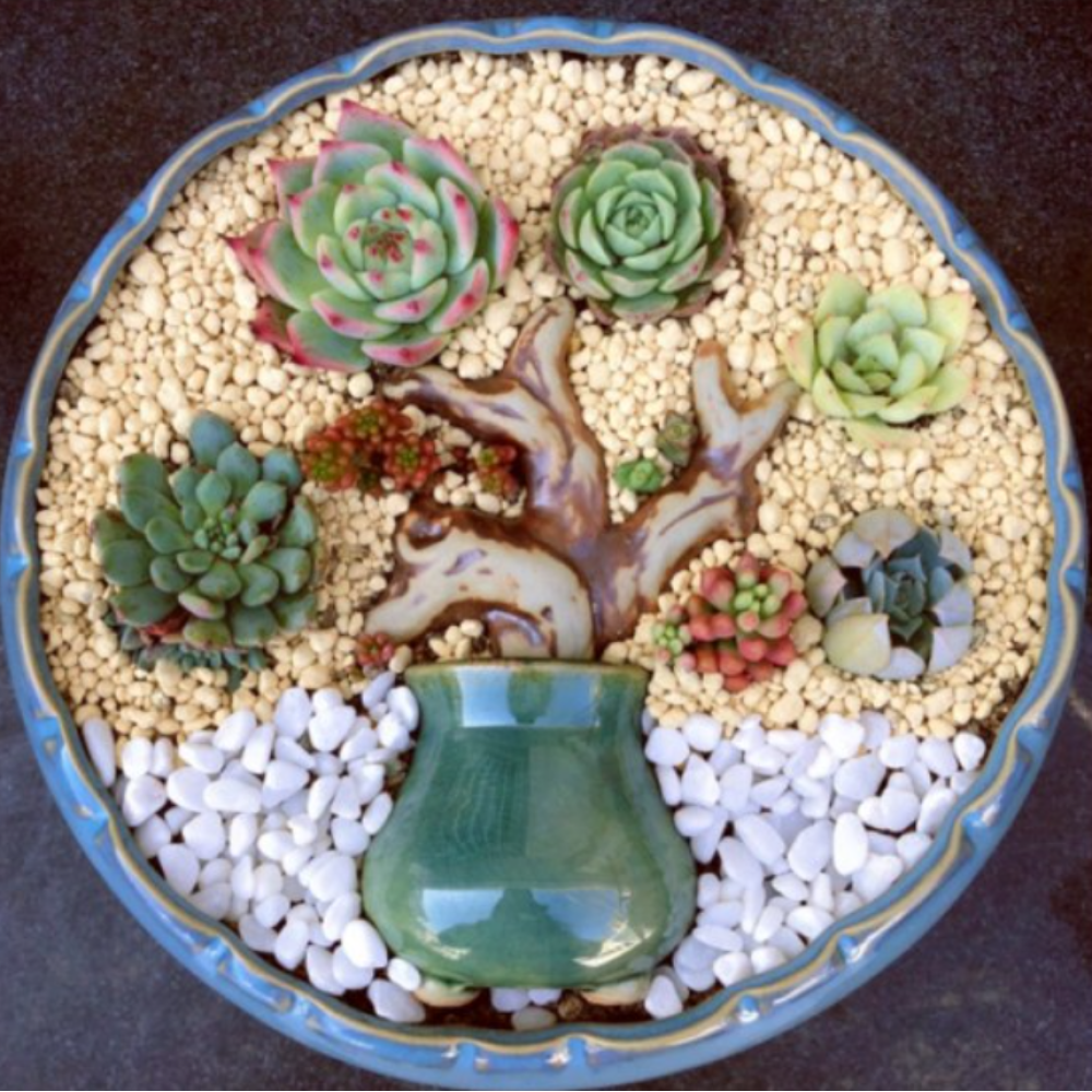 Artificial Tree Trunk For Succulent Arrangement | Ceramic Decor