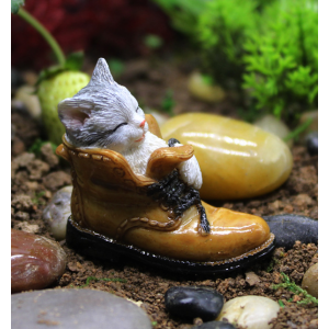 A Kitten In A Shoe