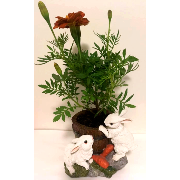 Easter Bunny Flower Pot Easter Bunny Flower Pot