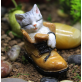 A Kitten In A Shoe