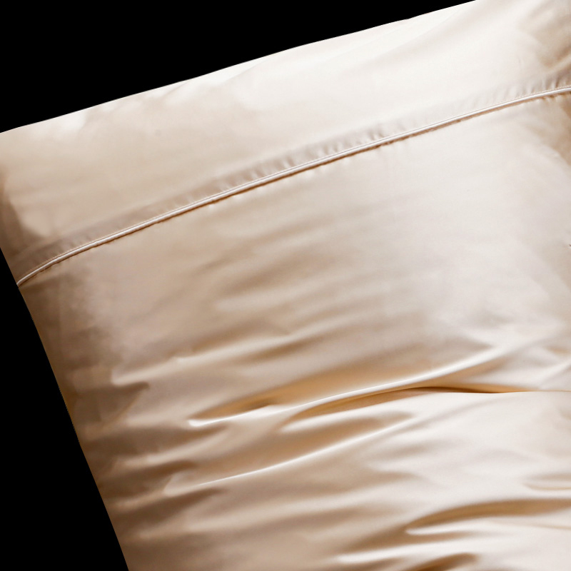 皮のための卸し売り22匁の純粋な洗濯の絹のパイピングの枕カバー