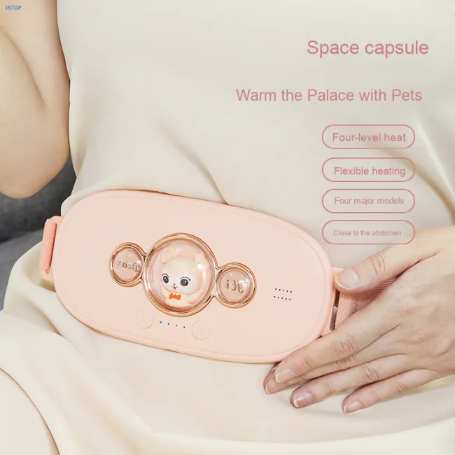 Massage Belt