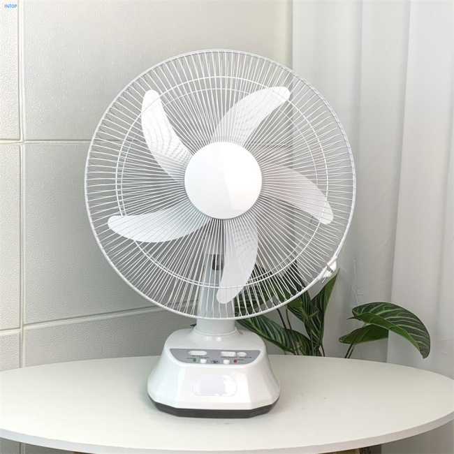 Fans