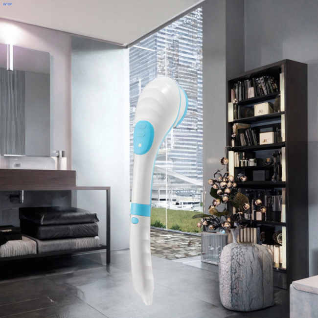 Cleansing Brush