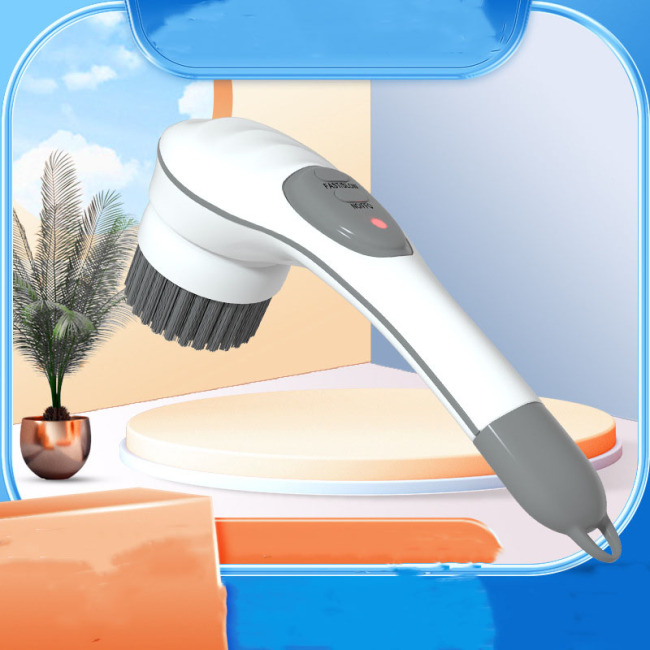 Cleansing Brush.