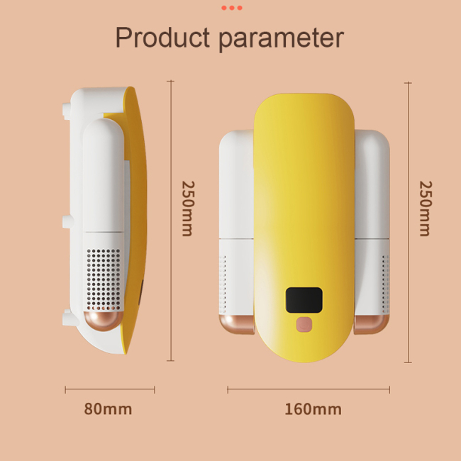 electronic shoe dryer