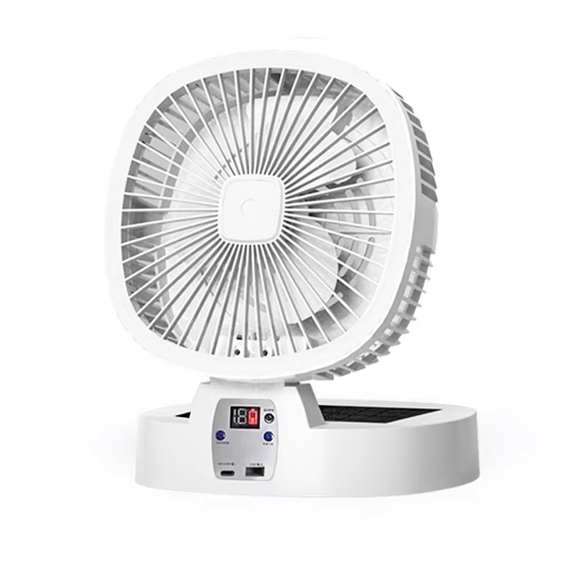 fan fan