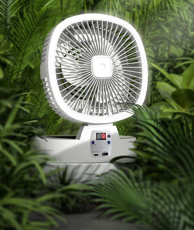 fan