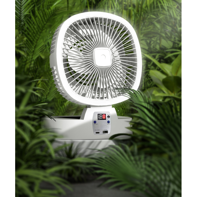 fan