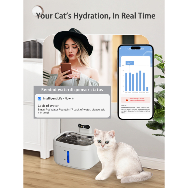 Pet Products