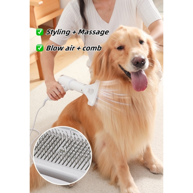 Pet Products