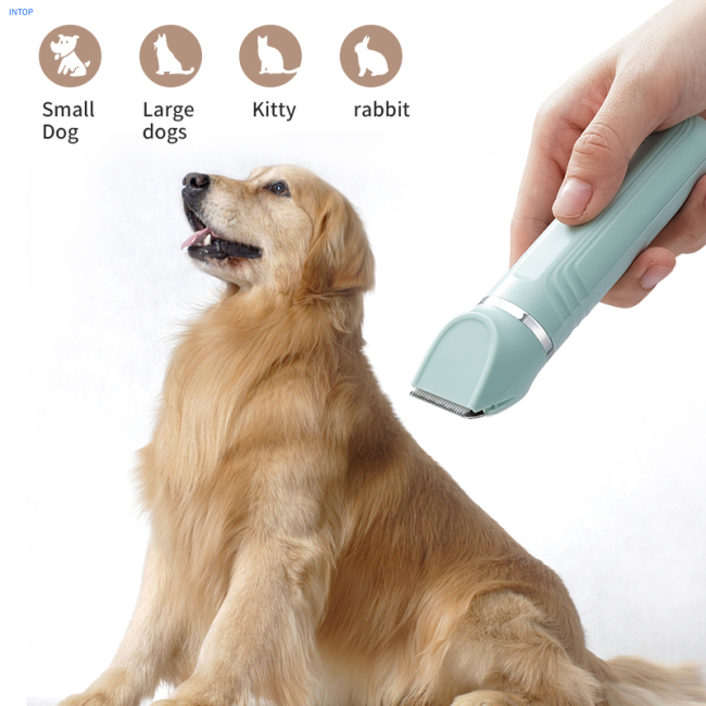 Pet Products