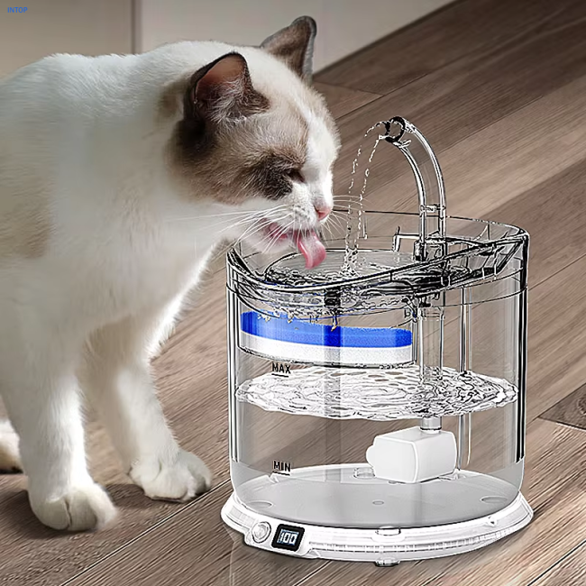 Pet Products