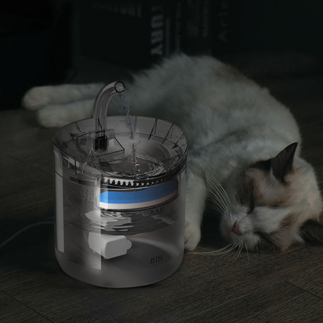 Pet Products