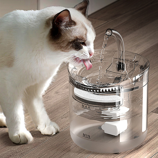 Pet Products