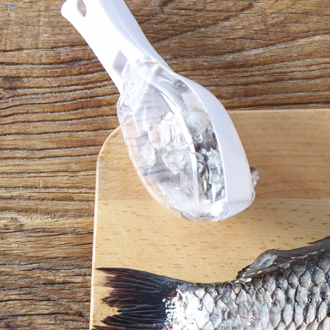 Manual Fish Scale Scraper