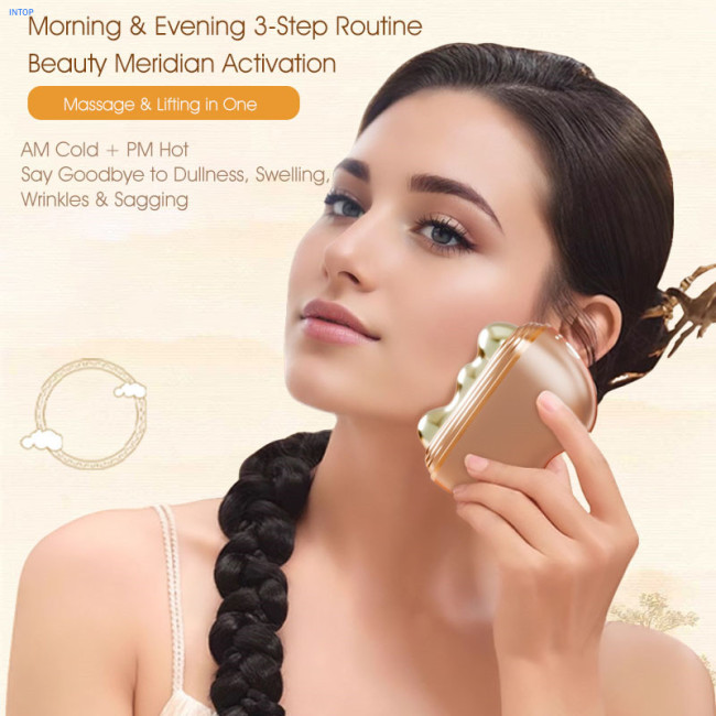 Facial Massager