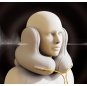 Memory Cotton Neck Pillow