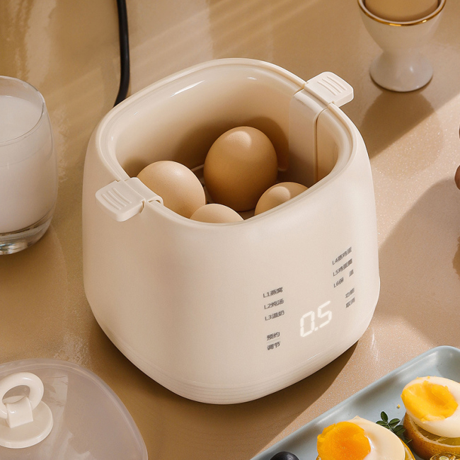 Egg Boilers