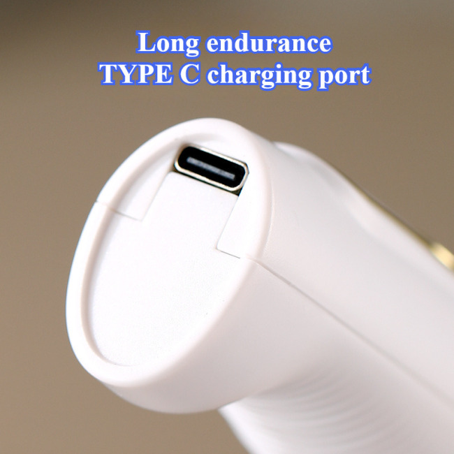 Electric Milk Frother