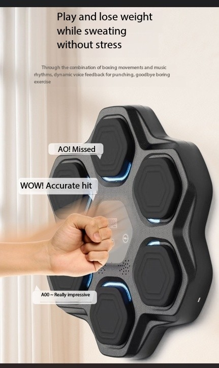 Boxing Training Machine