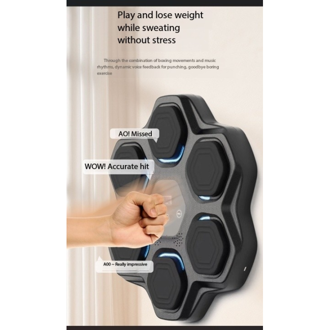 Boxing Training Machine