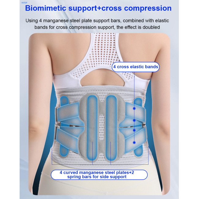 Waist Support Belt