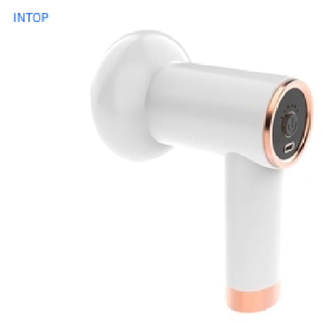 Body Massager