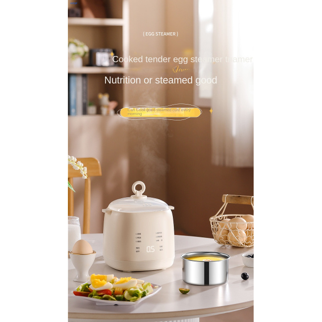 Electric Egg Cooker