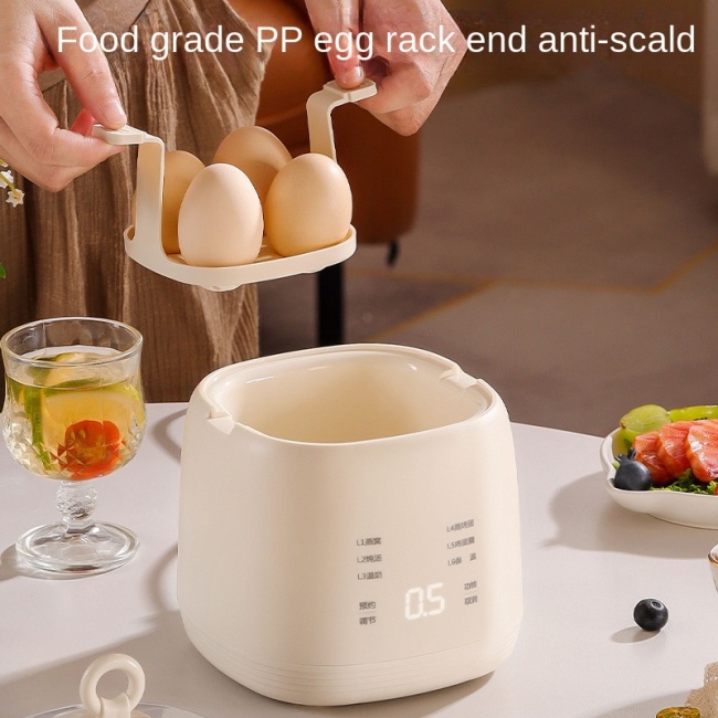 Electric Egg Cooker