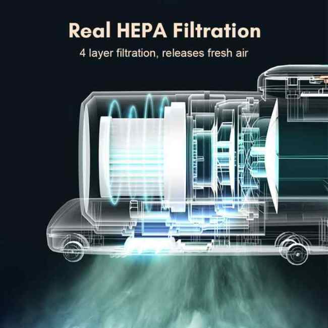 Dust Mite Controllers