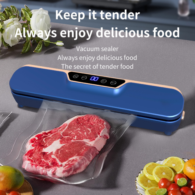 Vacuum Food Sealers