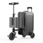riding Luggage Electric