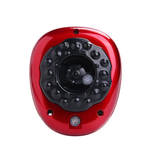 Electric Guasha Scraping Apparatus