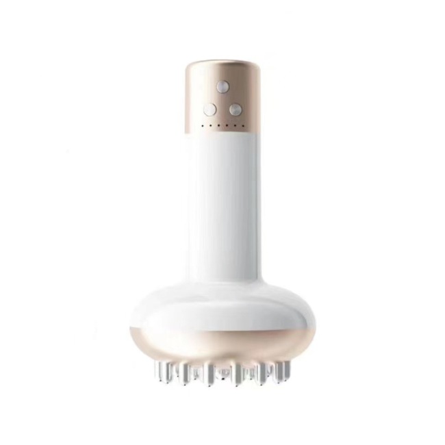Meridian Massage Brush