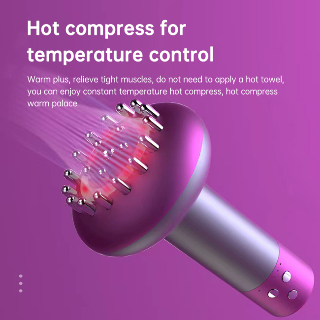 Meridian Massage Brush