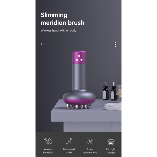 Meridian Massage Brush