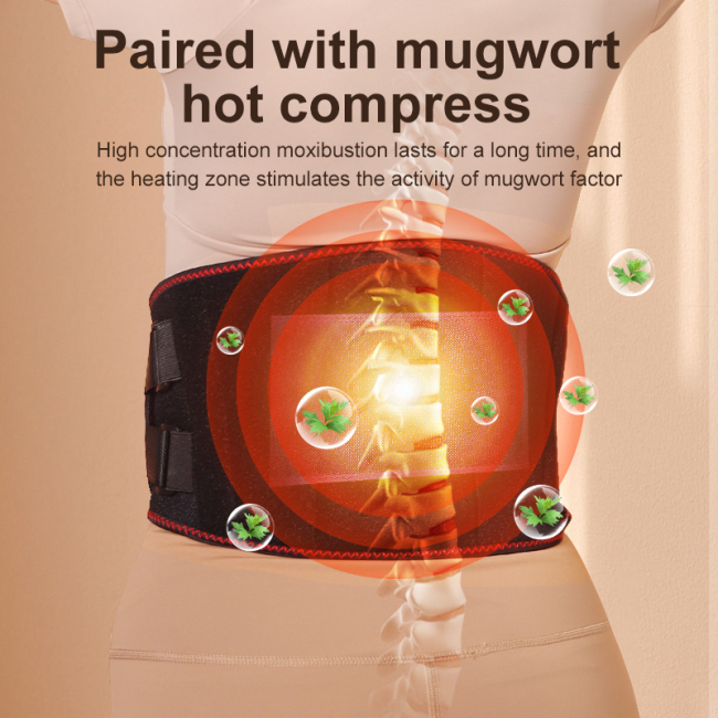 Electric Slimming Lumbar Support Belt Heating Waist